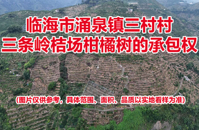 临海市涌泉镇三村村三条岭桔场柑橘树的承包权